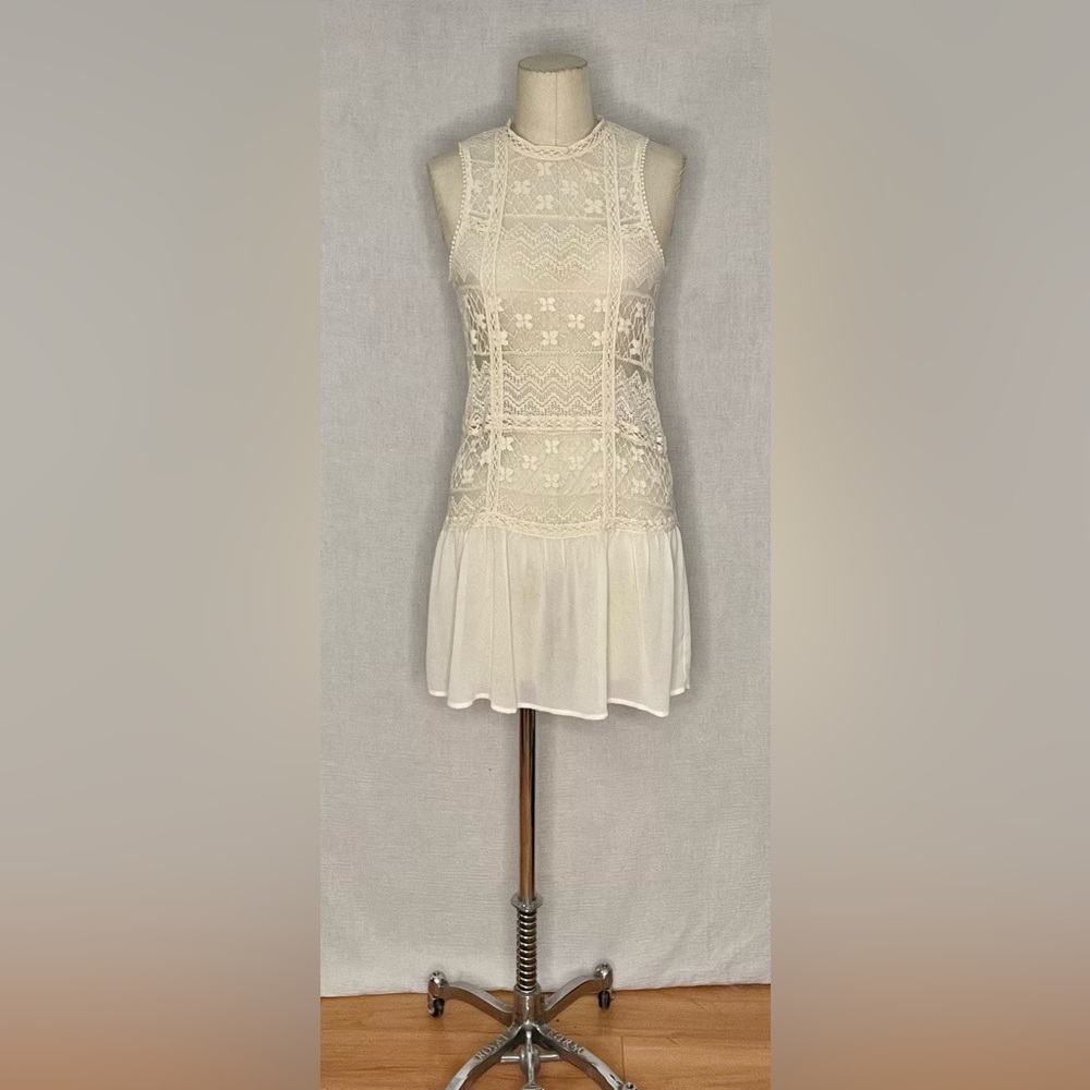 Sheer Lace and Chiffon dress